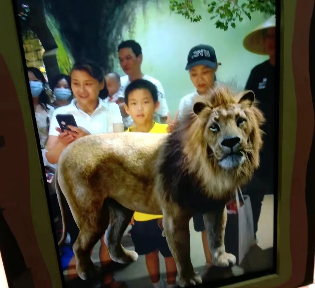 带货|孙卓三姨更改头像，视频中带货虾皮，卓妈评论区为三姨举大旗