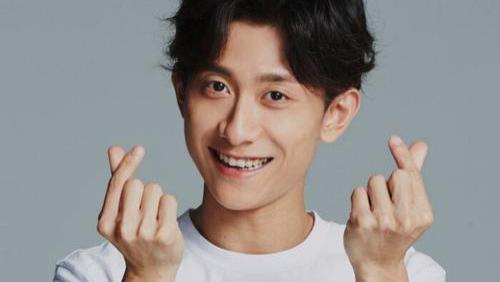 张一山|张一山被抓了，《家有儿女》要下架？也跟李易峰有关