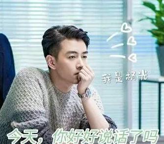 好好说话|《好好说话》在湖南卫视播出,由陈晓和王晓晨领衔主演