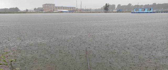 饵料|夏至过后钓鱼，学会这几招，别人空军你爆护，大鱼小鱼任你钓2