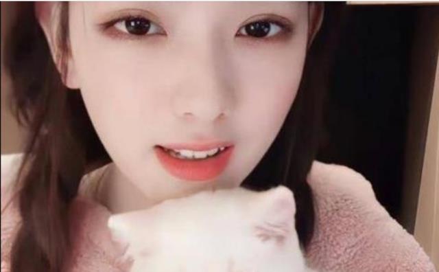 王思聪|王思聪的新女伴曝光，街头吃路边摊有说有笑，颜值不如孙一宁