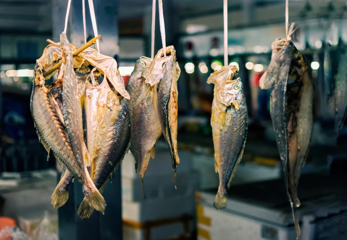 |为什么现在的年轻人的欲望很低？