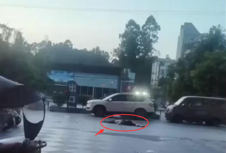 揪心!四川一年轻女子疑跳楼砸中路人双双身亡,警方回应了