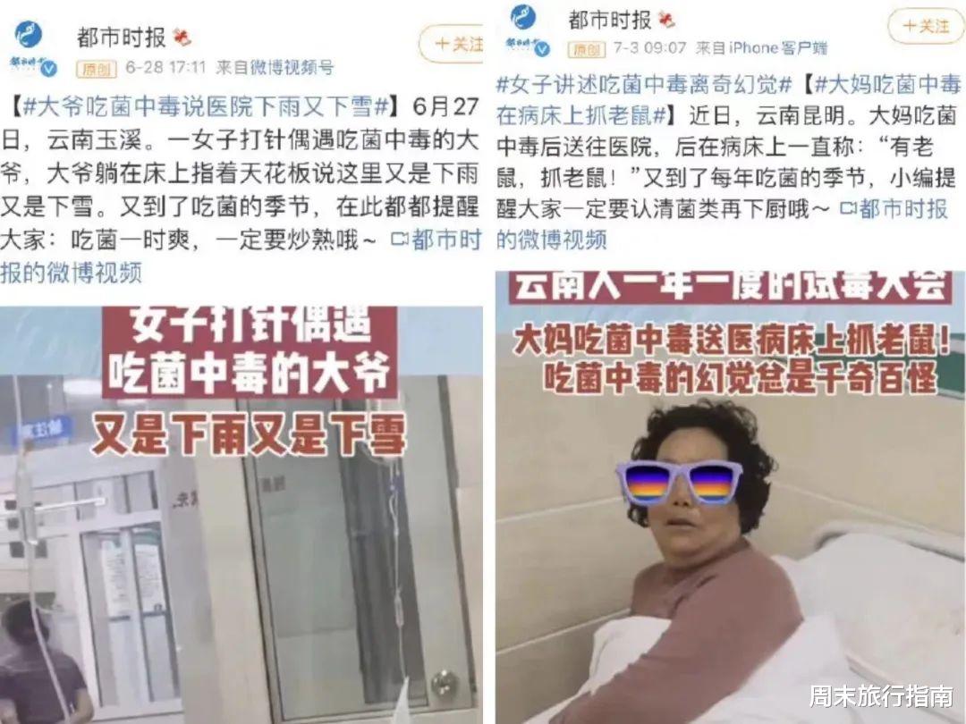 野生菌|刘亦菲新剧刷屏!均温20℃的神仙取景地,私藏“全国最毒”美味,吃过就上头!