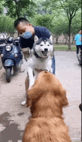 购房置业|“老家旧房子打扫出来的瓶子,能不能换一套房?”要海景房!