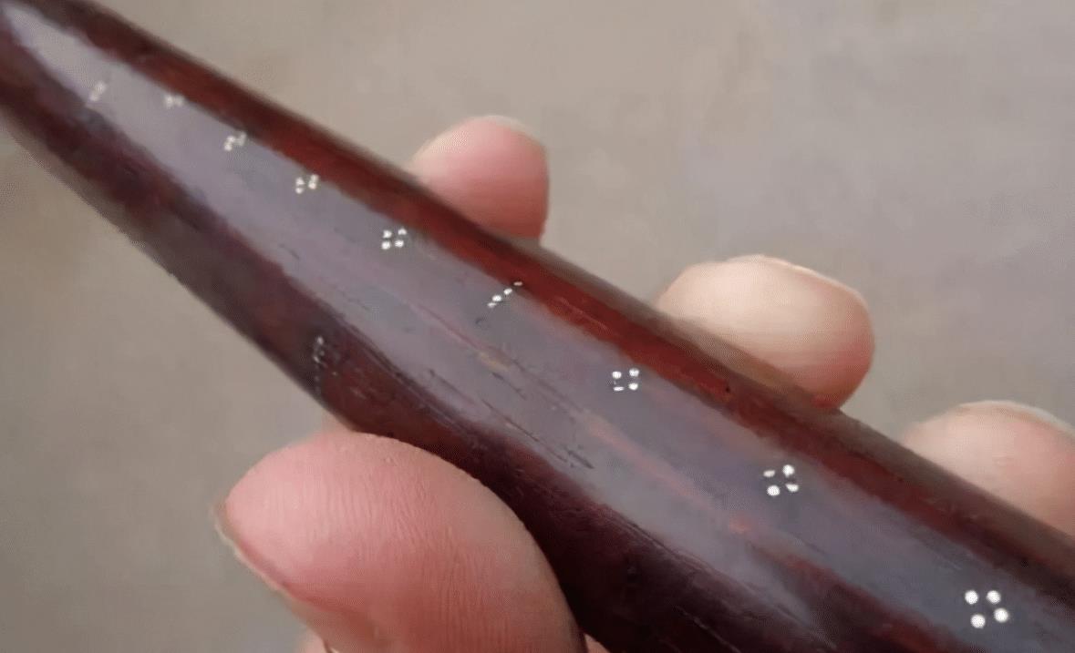 斧头都砍不动,以前拿来做秤杆,如今很珍贵,每一棵树都有人保护