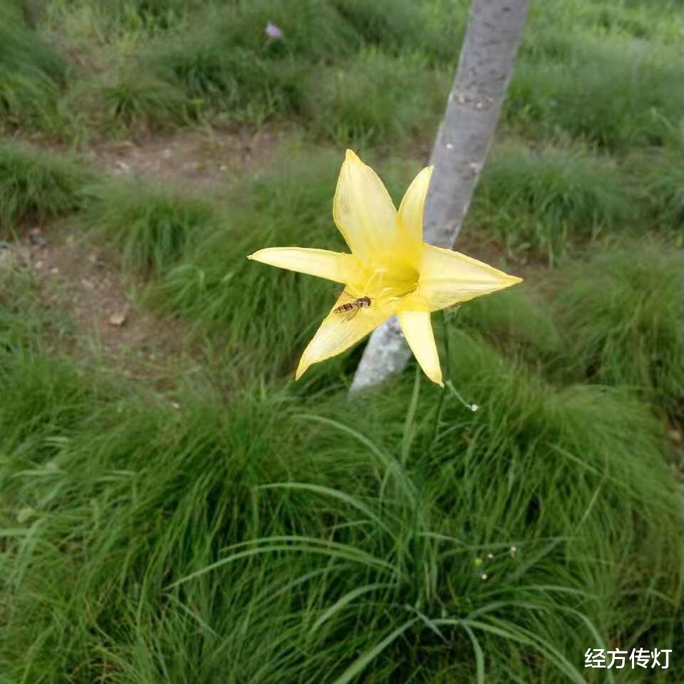 伤寒杂病论真解|《伤寒杂病论真解》之中医治则为损有余补不足纠偏求平