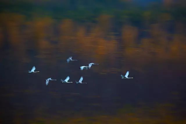 大山的视觉生活