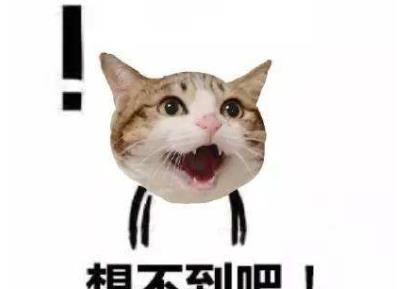 德州电锯杀人狂|40多年前的恐怖禁片，血腥残忍，现在比不了