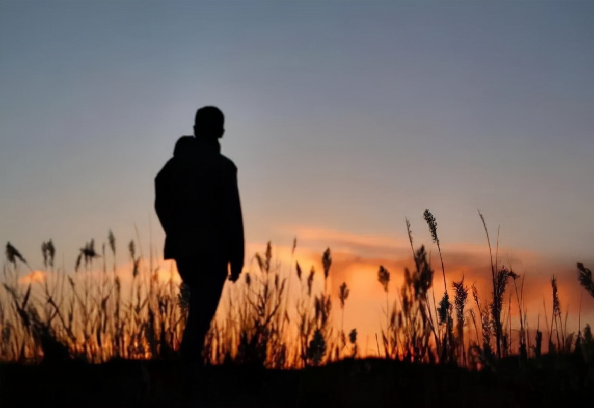 王安石|人生的下半场，最该看透这5种社会真相