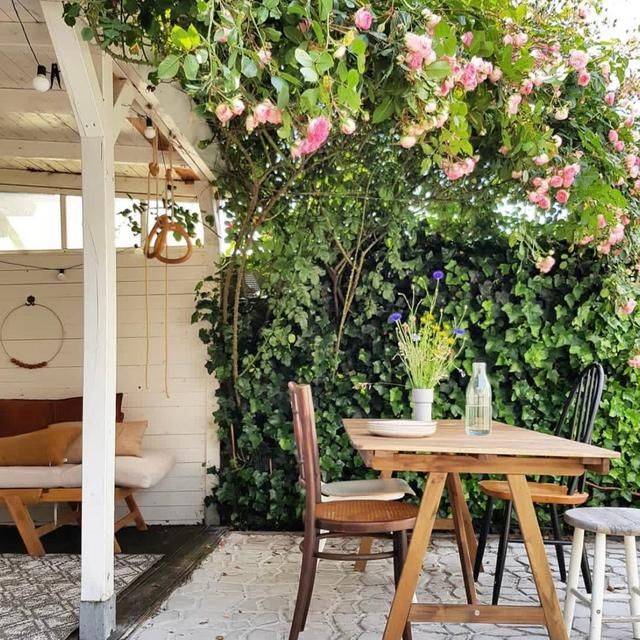 在她家,我看到了岁月静好的模样!门前庭院,绿树成荫,令人向往