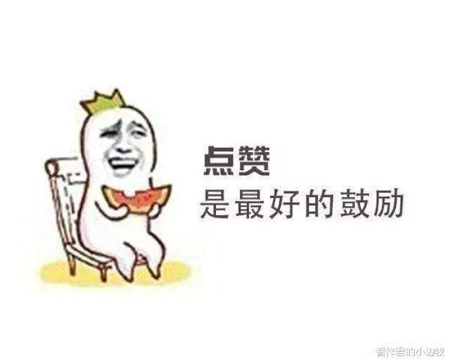 为什么感觉路上撞到的猫的数量要比狗多?