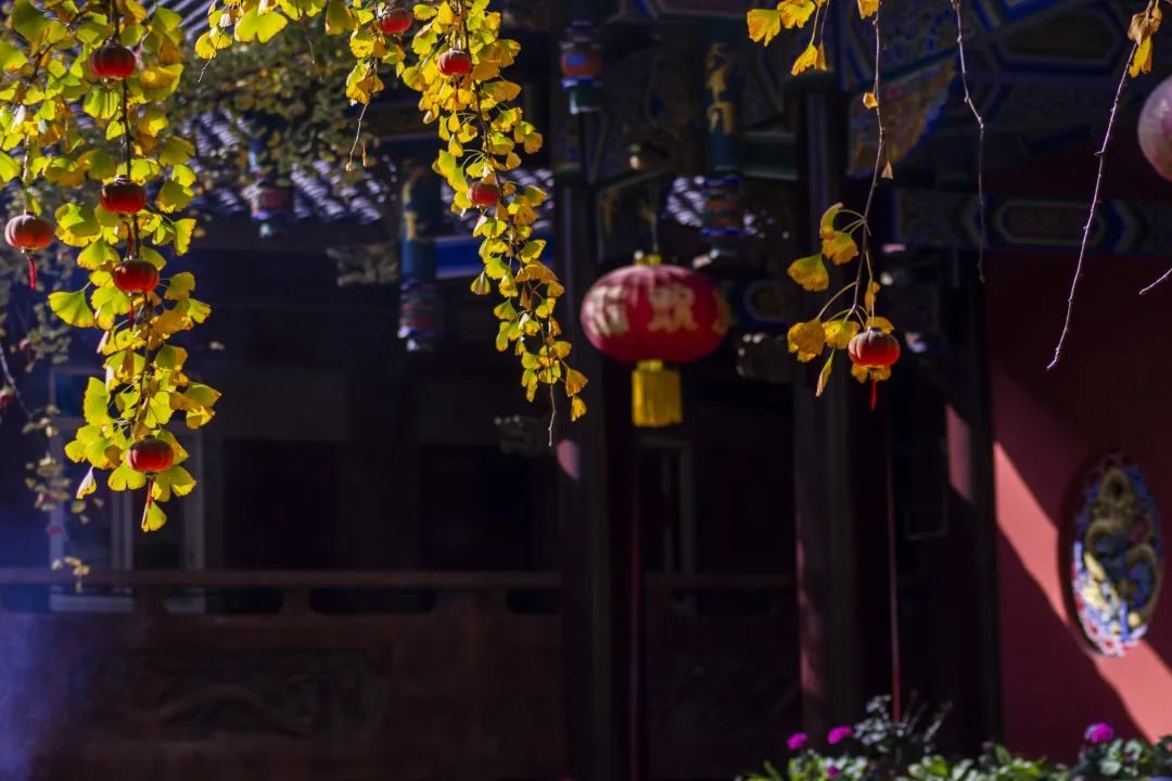 丰台|一梦到陵州，方知江南如许