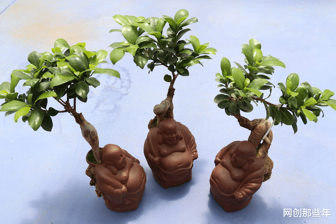 支付宝|自媒体创业的内容垂直的误区你知道哪几个?