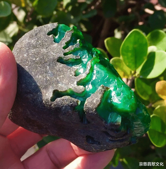 翡翠|土豪5000拿下巴掌大的石头,切开出现多条裂纹,不曾想成品竟出乎意料