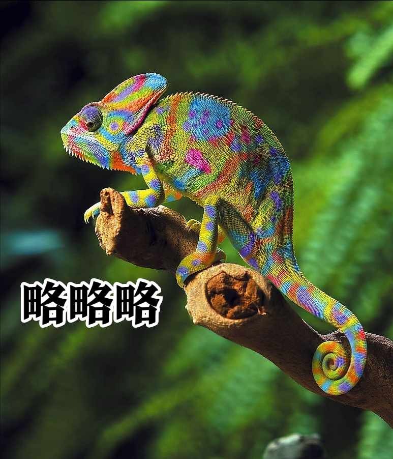 世界上的“间谍”动物,会改变颜色的“伪装大师”