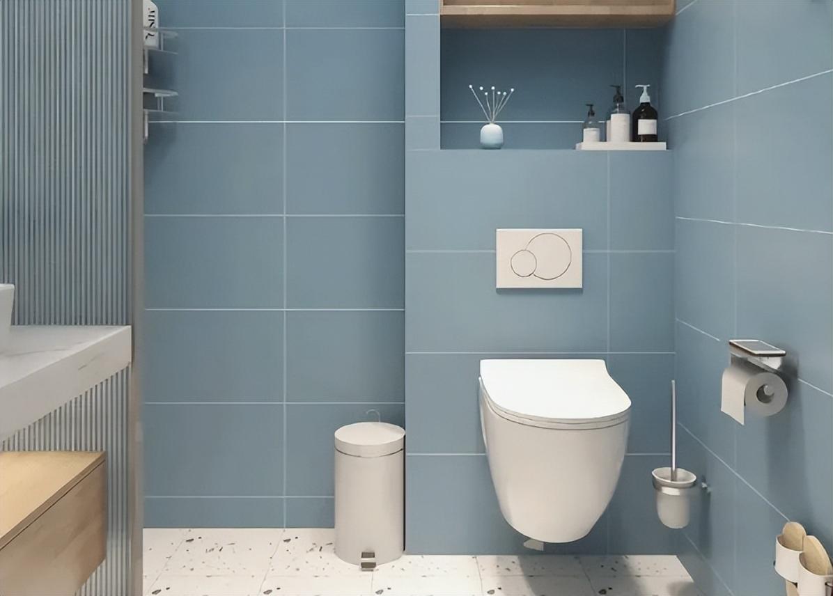 蹲马桶替代马桶,究竟好在哪里?这样的卫生间设计,你喜欢吗?