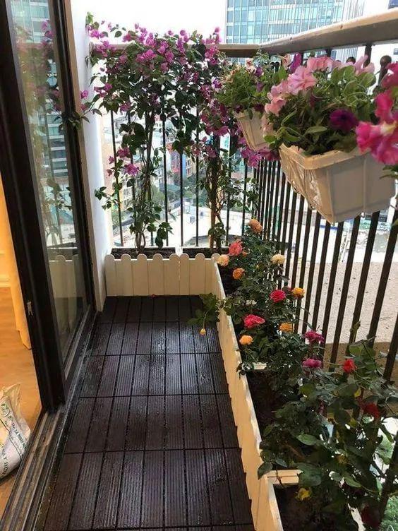 平顶山|过上悠哉的小日子,不一定非要院子,有个阳台,一样可以养花种菜