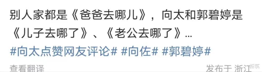 豪门|向太:“你抛妻,我弃子”,豪门婆媳怎么突然就这么令人着迷了?