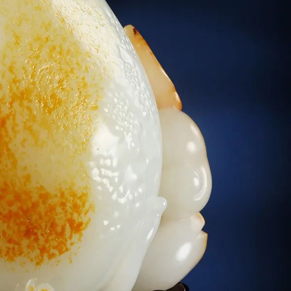 植树节|什么皮色下出好肉？你知道吗？