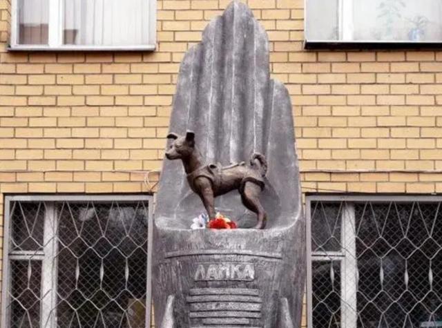 第一个进入太空的狗,升空前就知回不来,死亡真相被隐瞒45年