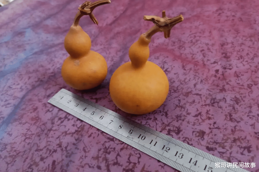 和田玉籽料|价值数十万的葫芦,长什么样?