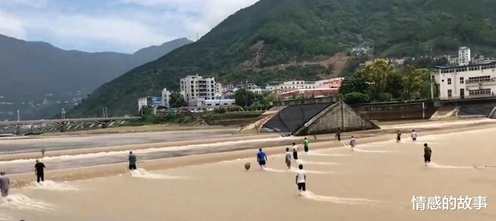 洪水冲击,千岛湖鱼“飞上天”,不乏几十斤大鱼,下游捡鱼欢
