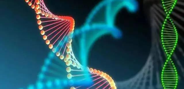 为何人类不可以实现永生?科学家:人类只是在给基因打工