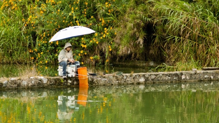 |钓鱼人最担心的几个时间点，怕一走开就来鱼