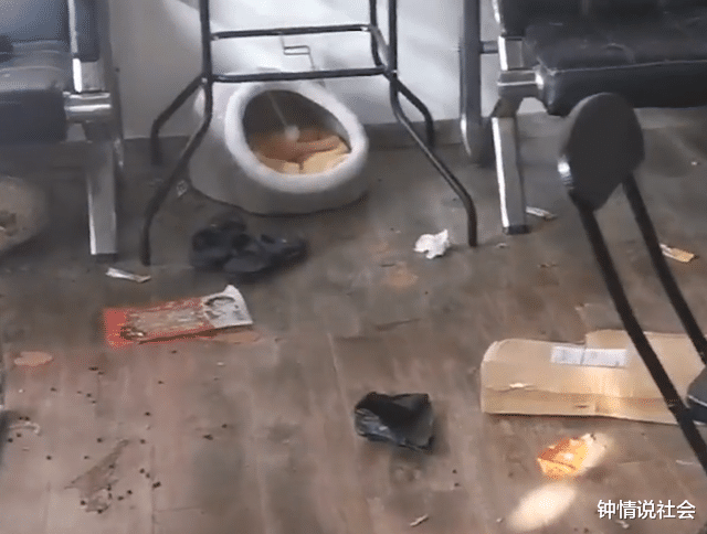 南京|上海一女子时隔俩月回办公室,推看门气疯转头乐疯:它竟然还活着