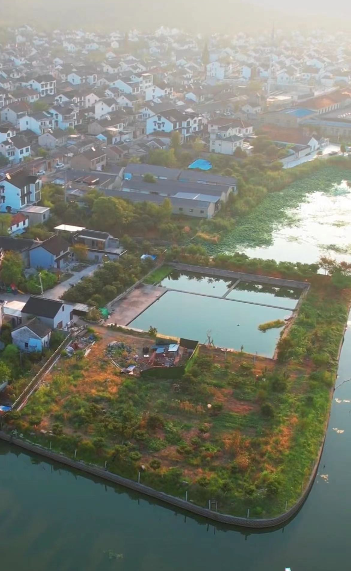 黄一山|58岁港星黄一山定居内地！月租2000元不算贵，为省钱亲自搞卫生