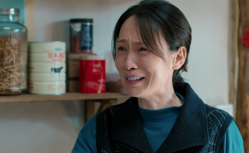 钱洁|从《幸福到万家》到《欢乐颂3》,“换脸式”演技出圈,钱洁火了