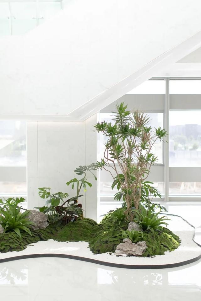 |入职前你是否有提了解公司的情况？