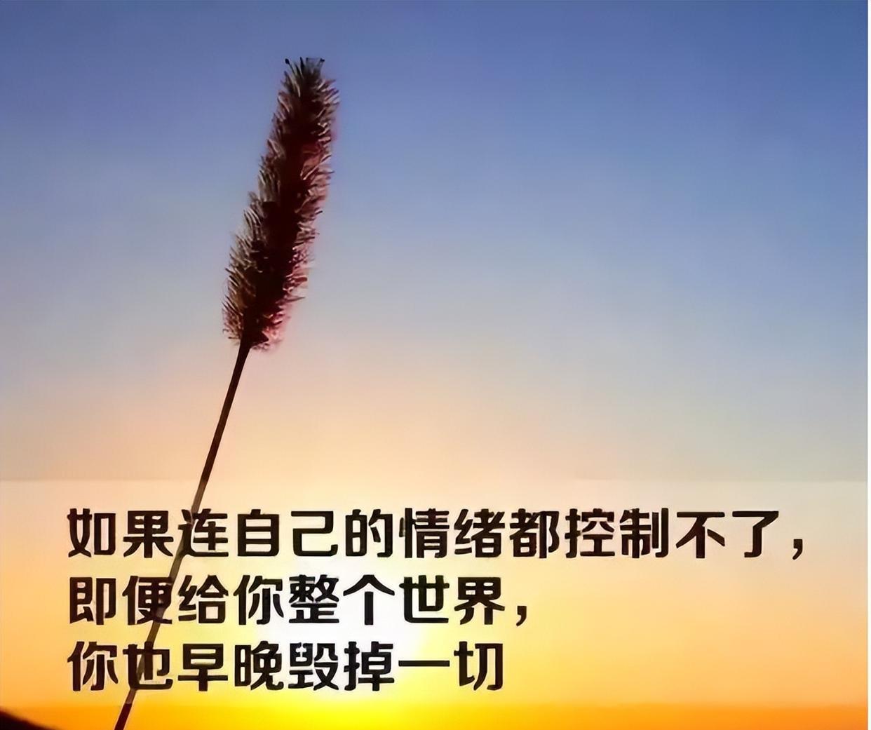 为什么要把坏情绪留给最亲近的人?要努力做自己情绪的主人