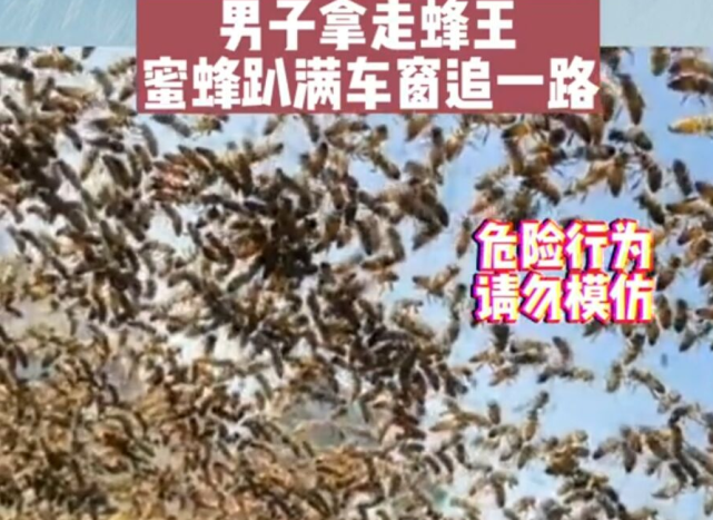 云南男子顺手牵走蜂王 引发庞大蜂群爬车窗