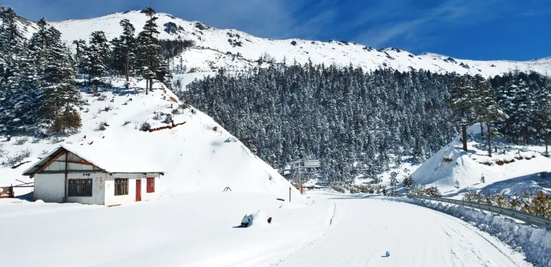 |人均不到200+！江浙沪周边滑雪场Top5推荐来咯！南方也能痛快玩雪