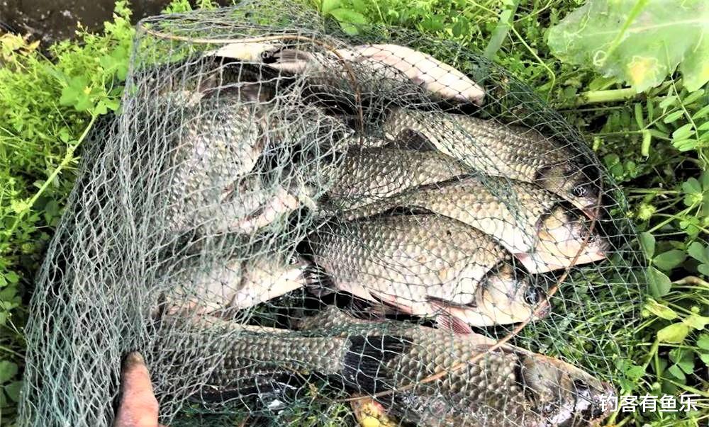 饵料|春季钓鱼，有口钓不上鱼？牢记这5句口诀，到哪里钓鱼都不吃亏
