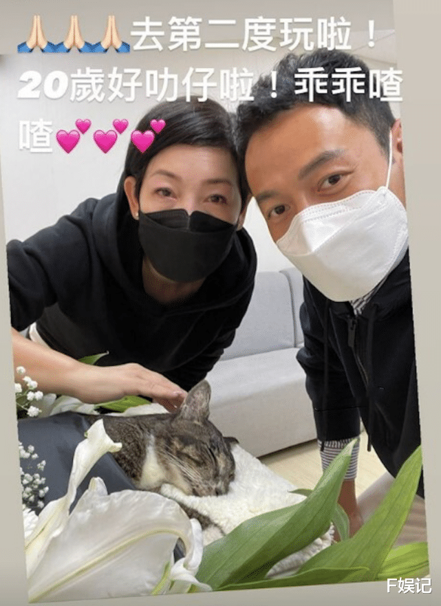 张达伦|张达伦携妻儿为好友庆生 前女友黎芷珊到场一同吃饭合影感情好