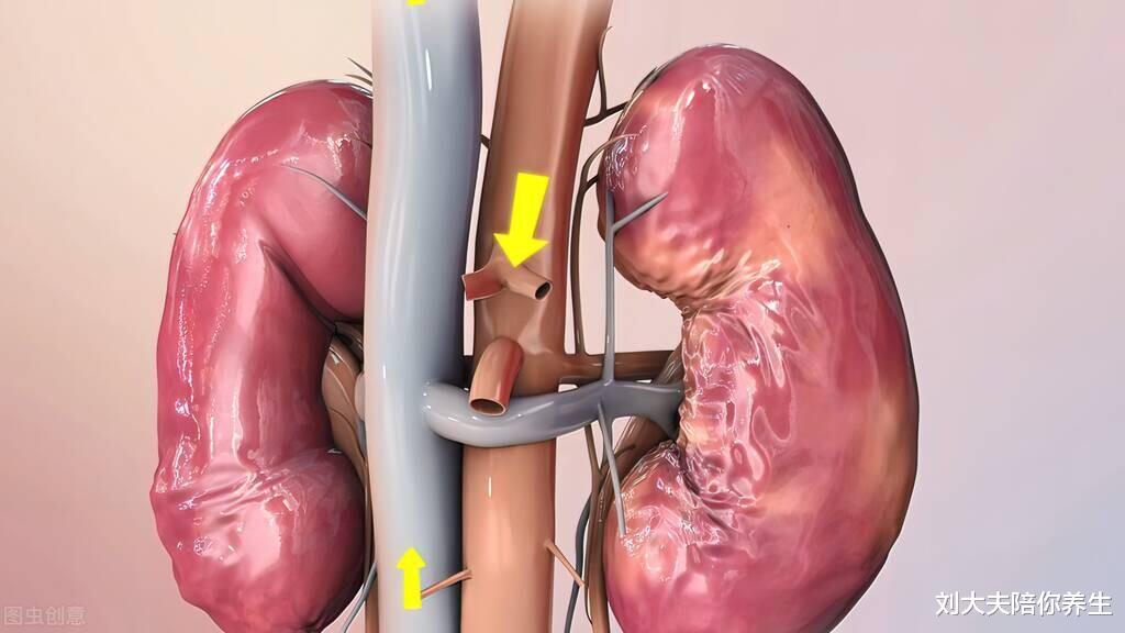 白发|一个补虚损、乌白发的方子,两味药泡水喝,补肾阴、养肝血!