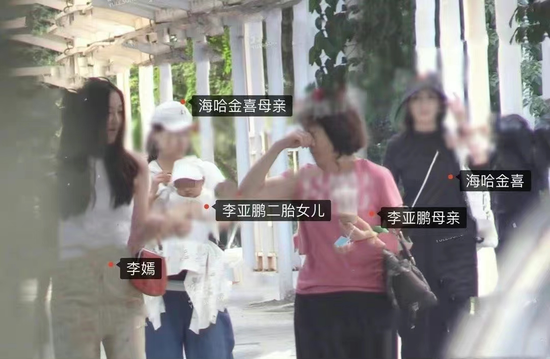 李亚鹏|李亚鹏秀恩爱,关王菲什么事?