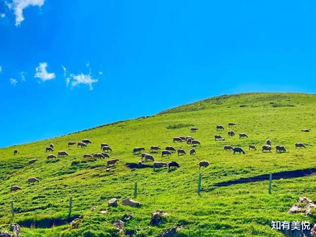 乌镇|国内10个精致的旅行地,真正的世外桃源,每一个都美得那么低调!
