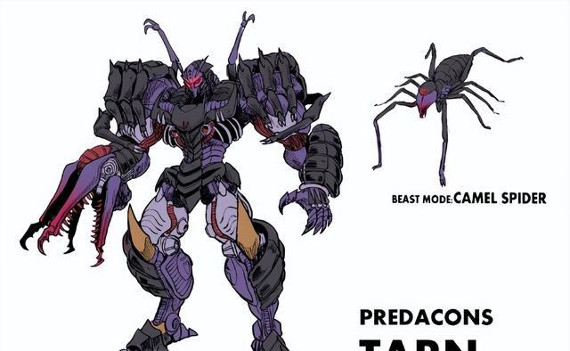 超能勇士|变形金刚超能勇士全新角色设计,阿尔茜变形猫塔恩变形骆驼蜘蛛