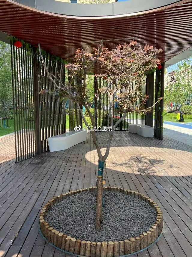 房贷|置地上玺明天登记,省府中铁案名曝光,锦绣首玺被指虚假宣传!