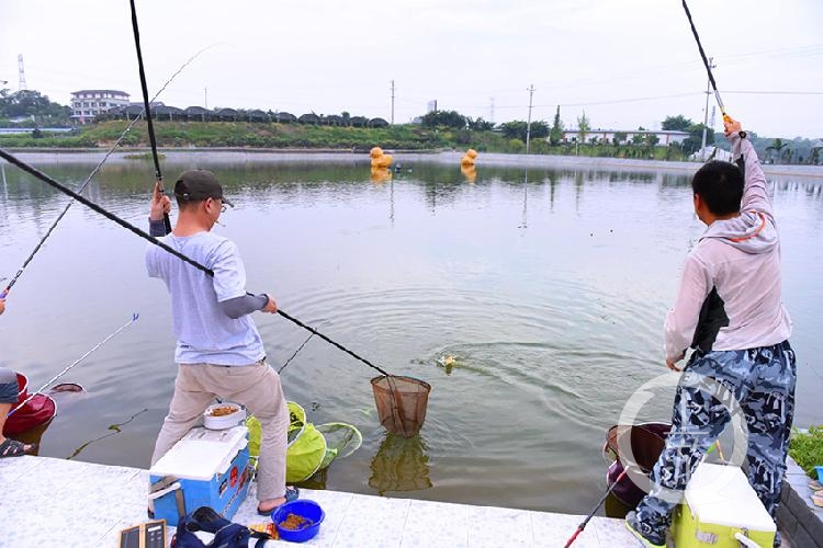 |野钓：钓鱼小妙招详解