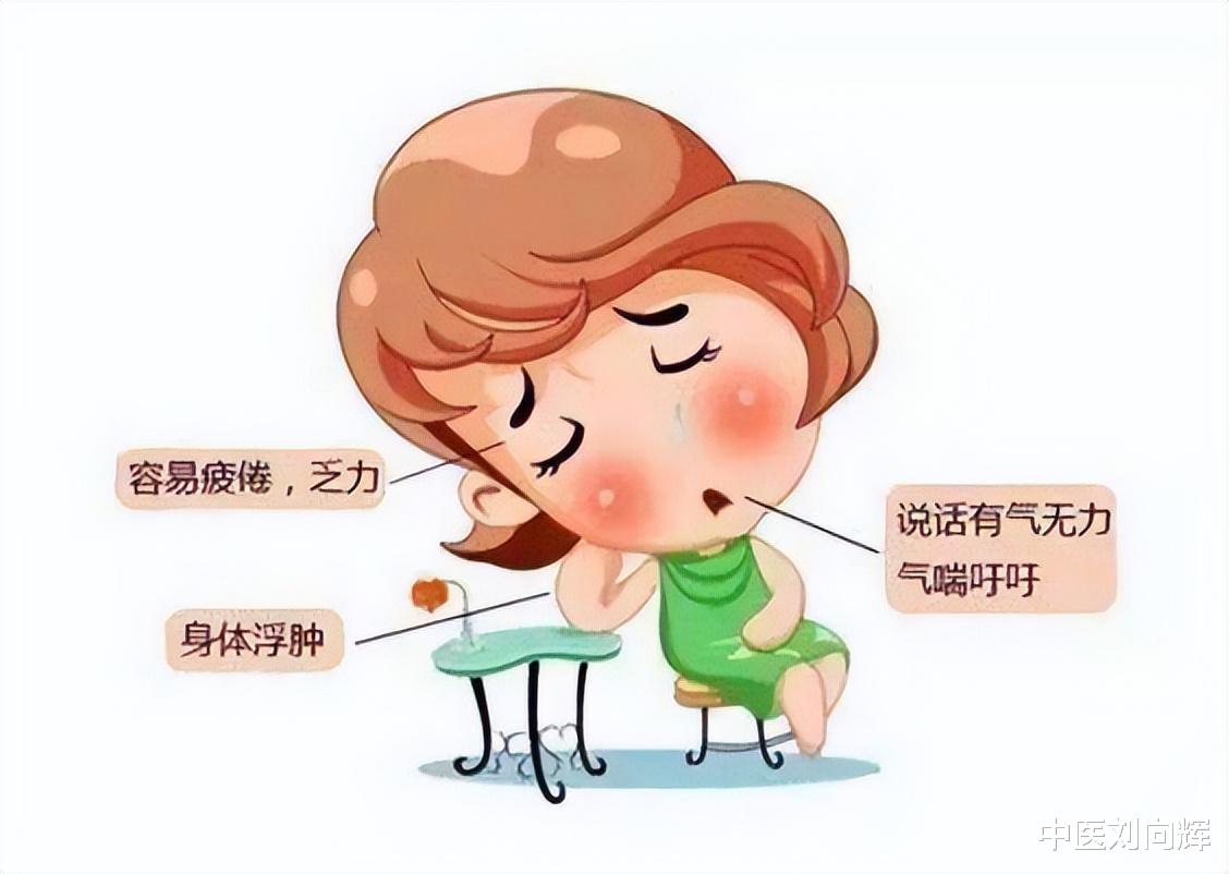 红豆|气血充足,杂病全无,一个中成药,补气血,养心脾,赶走亚健康