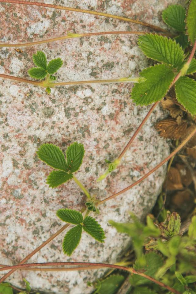 |别再喊热了!这个被央视疯狂点赞的避暑秘境,18℃!爆凉快!