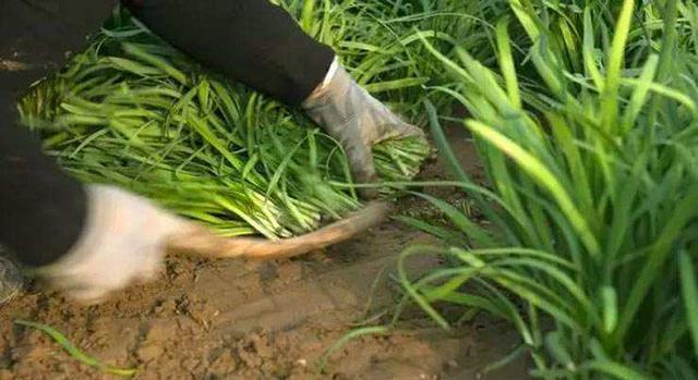 带货|田静生活有好转，直播要坚持做下去，一为争口气，二为让网友放心