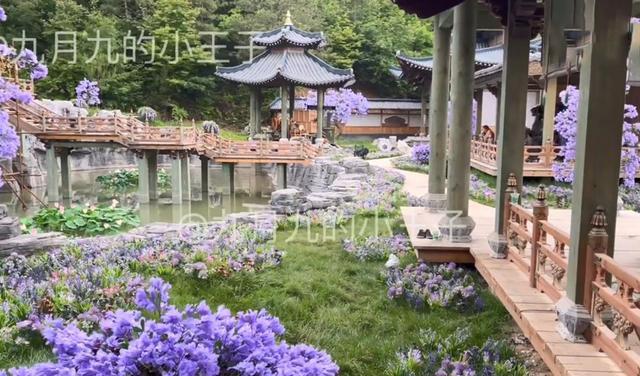 邓为|《长相思》邓为打架路透，涂山家好漂亮，群演说杨紫的妆造很美！