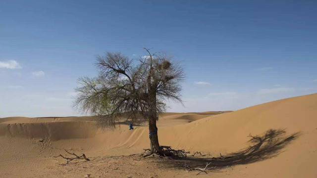 我们或许正面临沙子危机？很少被提及的沙子，却是极度稀少的资源
