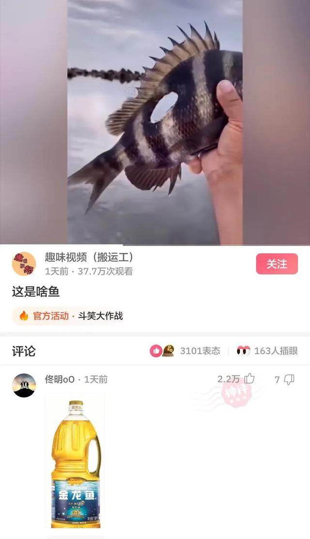 神回复|神回复:洗澡时浴室玻璃门炸了,房东会让赔吗?